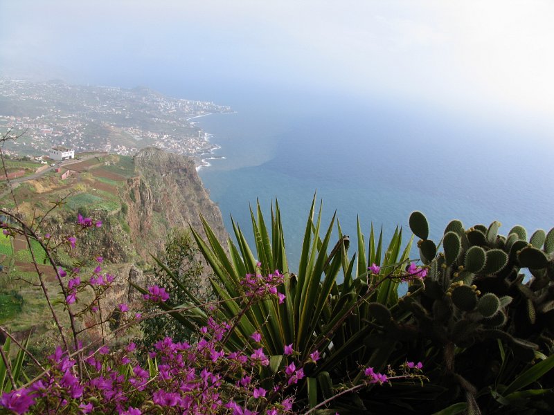 Madeira (107).jpg